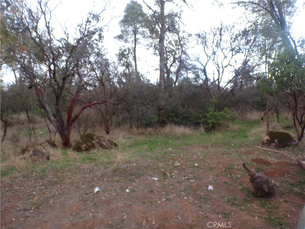 Photo of Listing #LC25254259