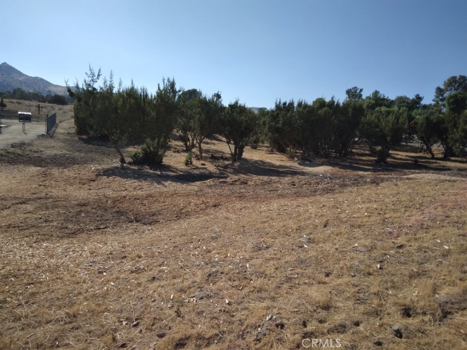 Photo of Listing #SR25253899