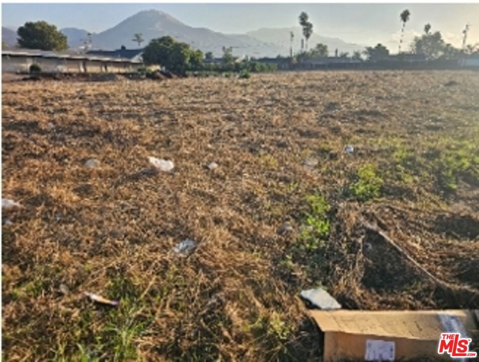 Photo of Listing #25615203