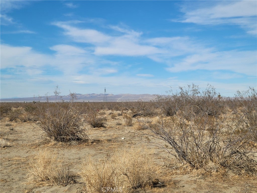 Photo of Listing #HD25253415