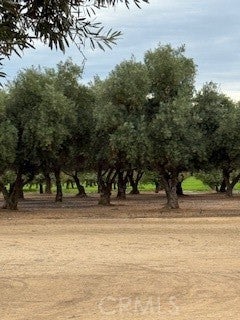 Photo of Listing #MC25253995