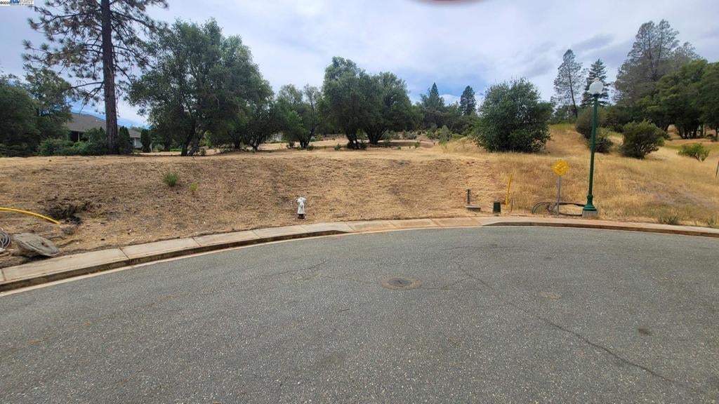 Photo of Listing #41116776