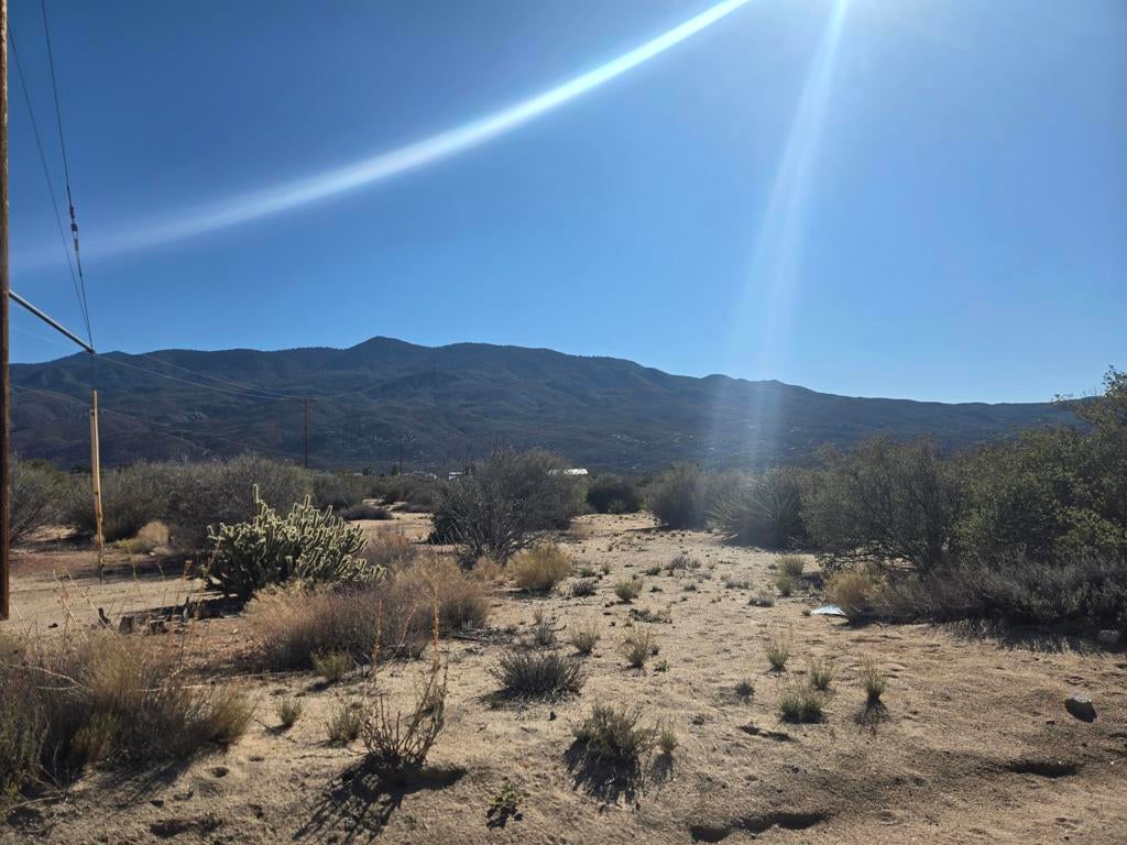 Photo of Listing #219138292DA