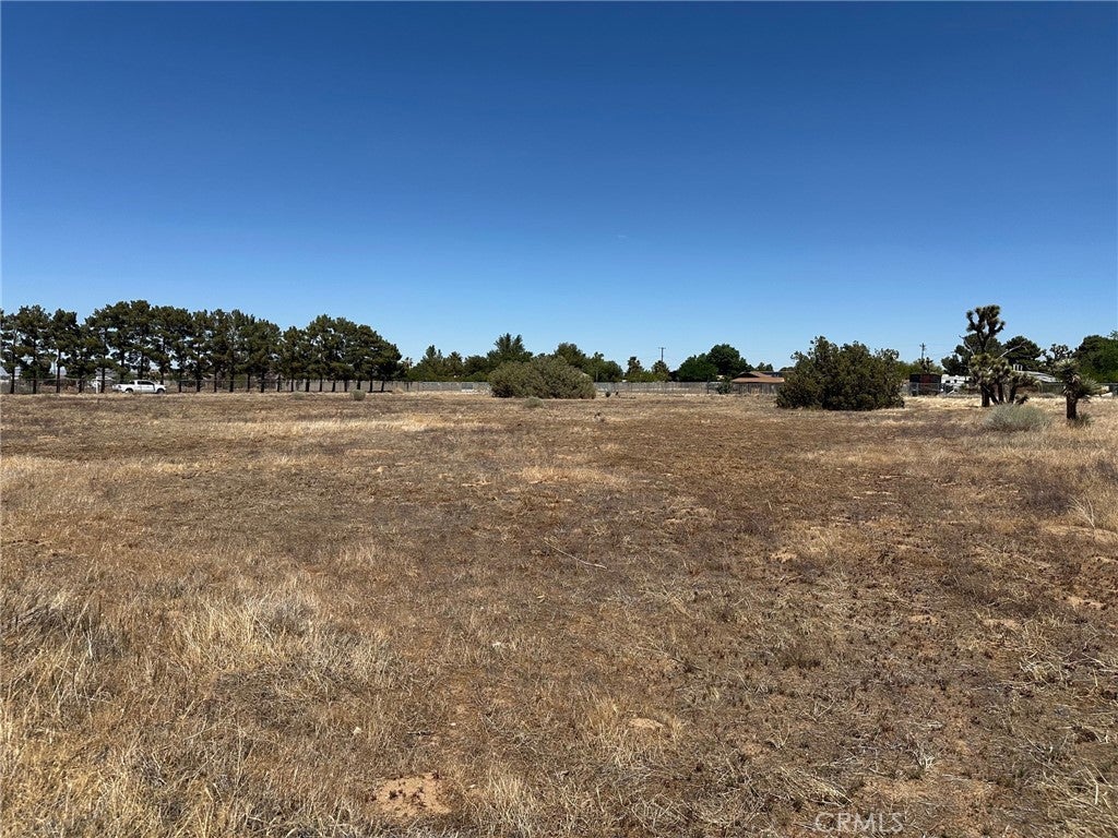 Photo of Listing #SR25255276