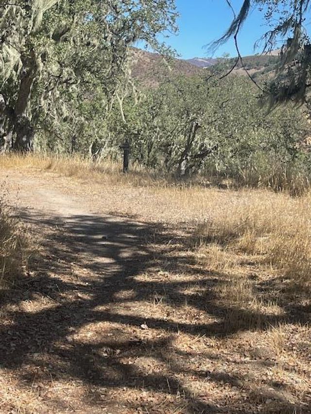 Cachagua Road, Carmel Valley