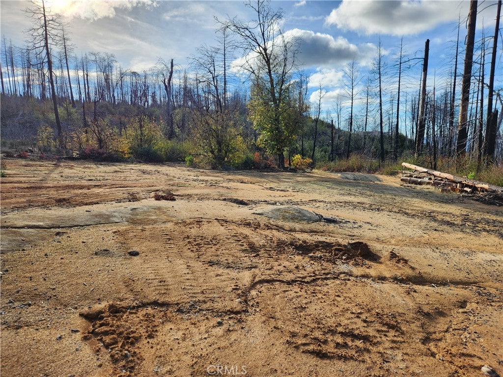 Photo of Listing #OR25256786