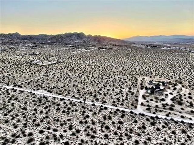68 Sunkist, Joshua Tree