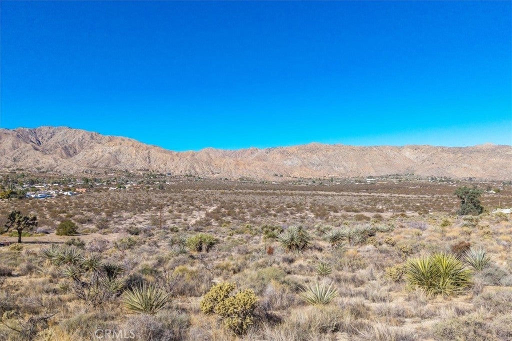 Photo of Listing #JT25257903