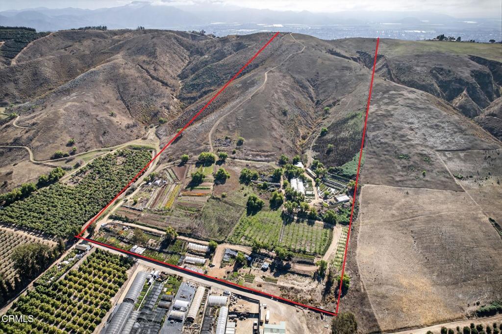 Photo of Listing #V1-33321