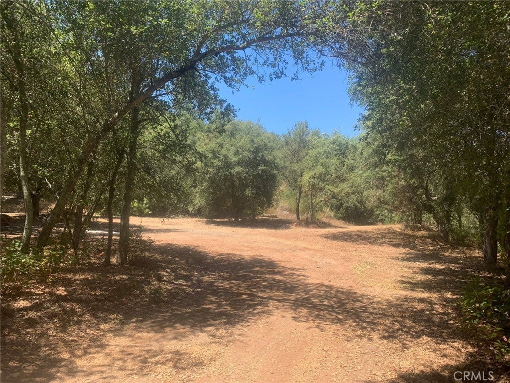 Photo of Listing #SW25258371