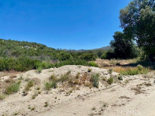 Buchanan, Castaic