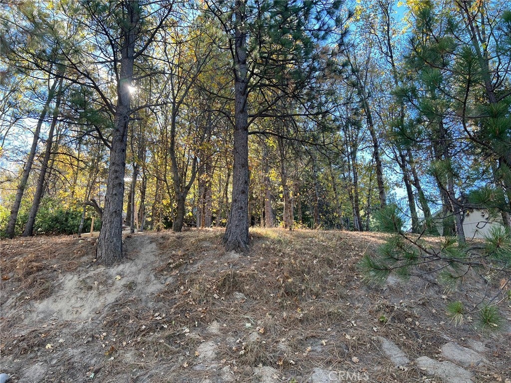 Photo of Listing #IG25258552