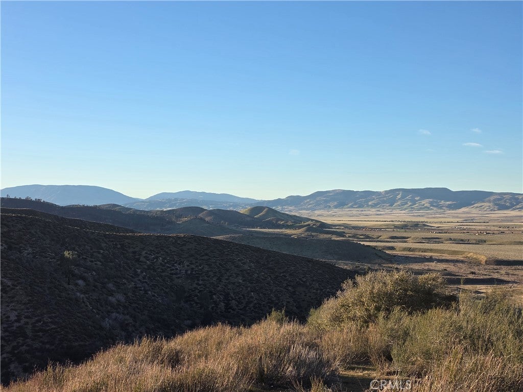 Photo of Listing #SR25258750