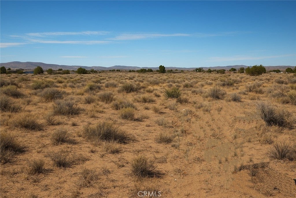 Photo of Listing #PW25238598