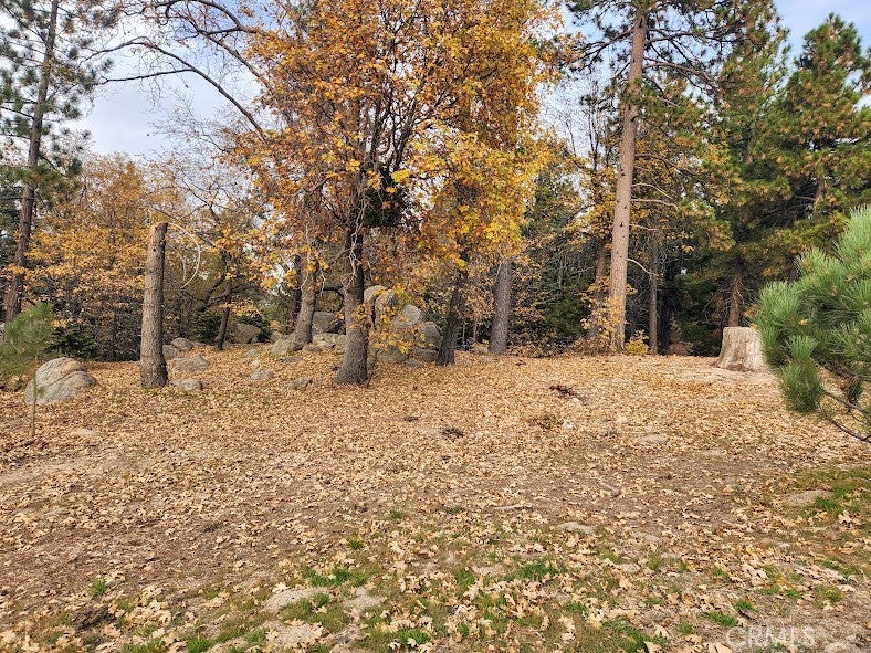 Photo of Listing #HD25258985