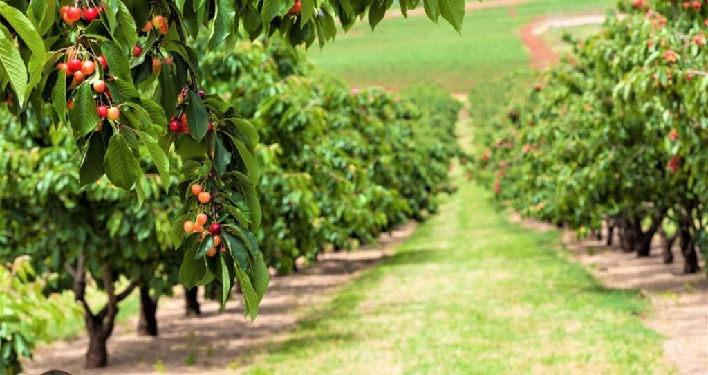 Photo of Listing #ML82027414