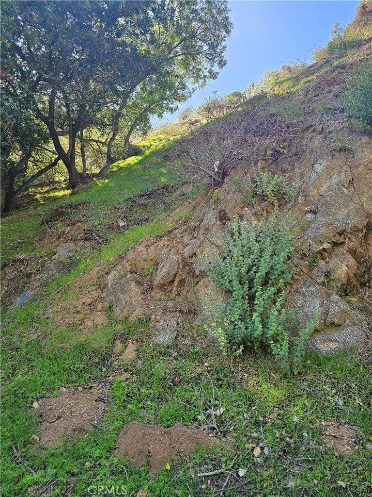 Photo of Listing #RS25253328