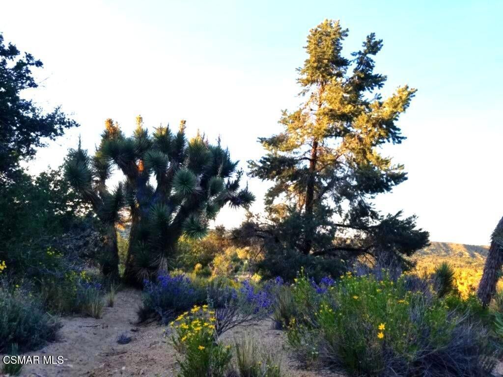 Photo of Listing #225005664