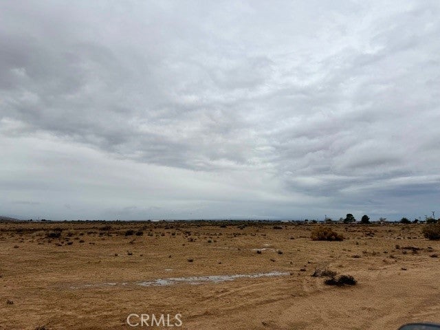 Photo of Listing #HD25261658