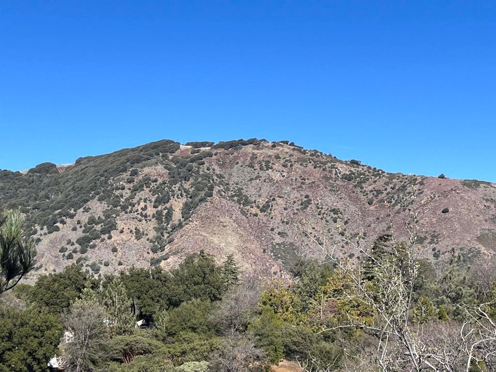 Photo of Listing #250044208SD