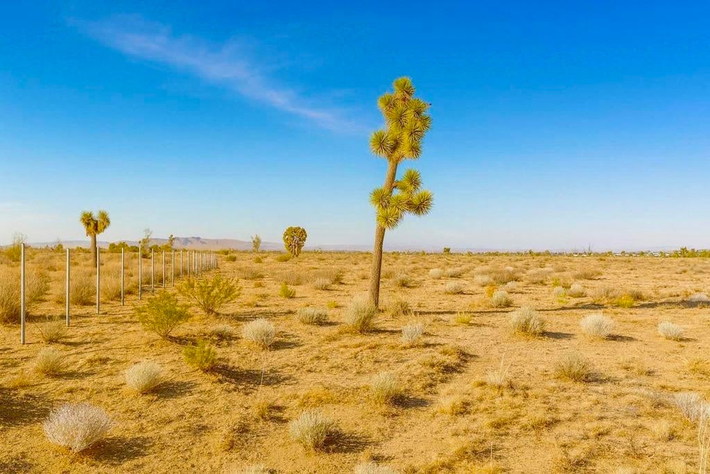 Photo of Listing #219138918DA