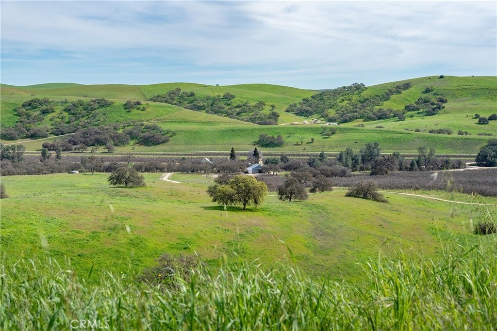 Photo of Listing #NS25262417