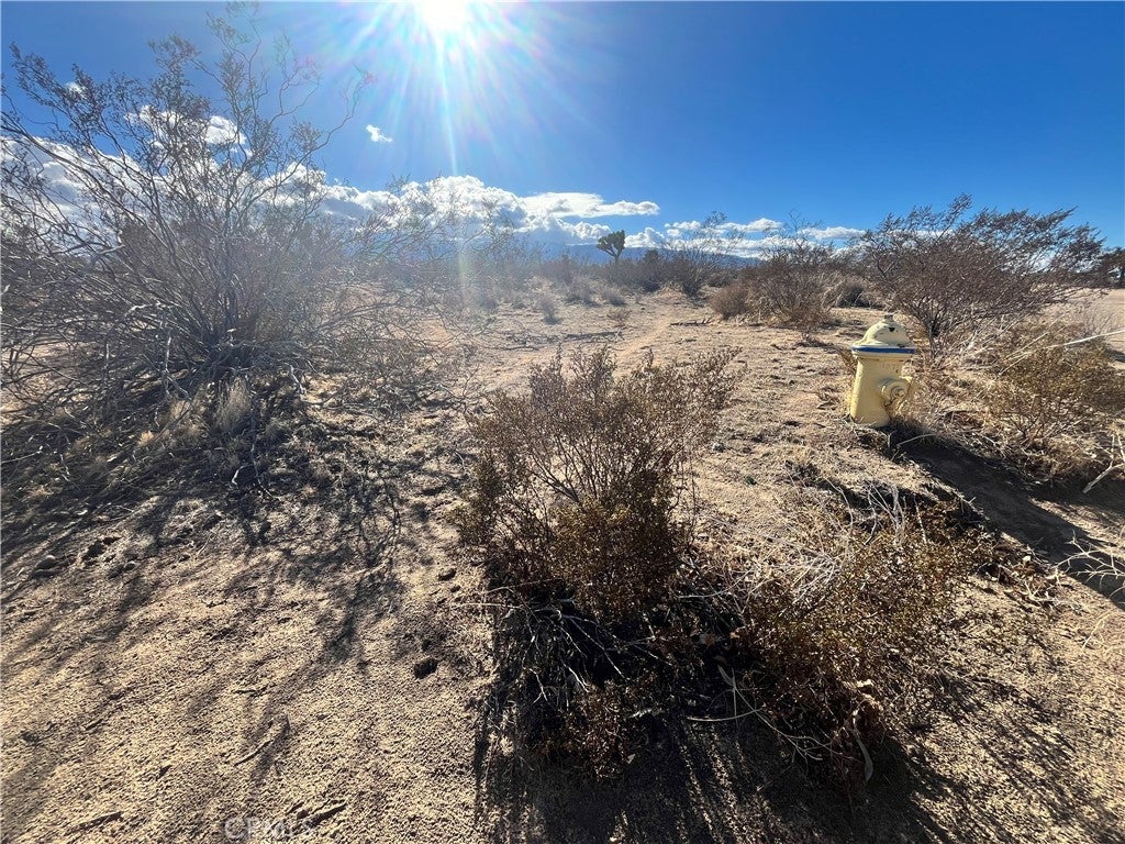 Photo of Listing #HD25263371