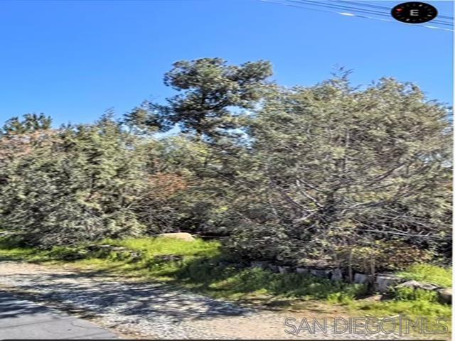 Photo of Listing #250044450SD