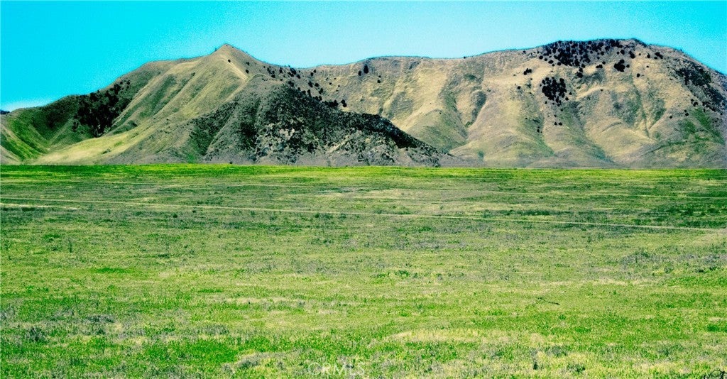 Photo of Listing #PI25264691