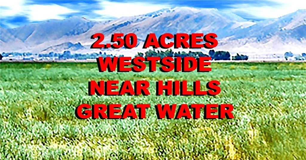 Photo of Listing #PI25264691