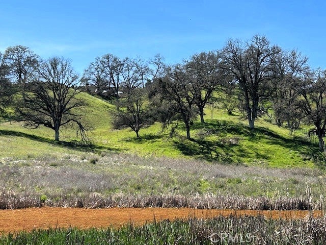 Photo of Listing #OC25264948