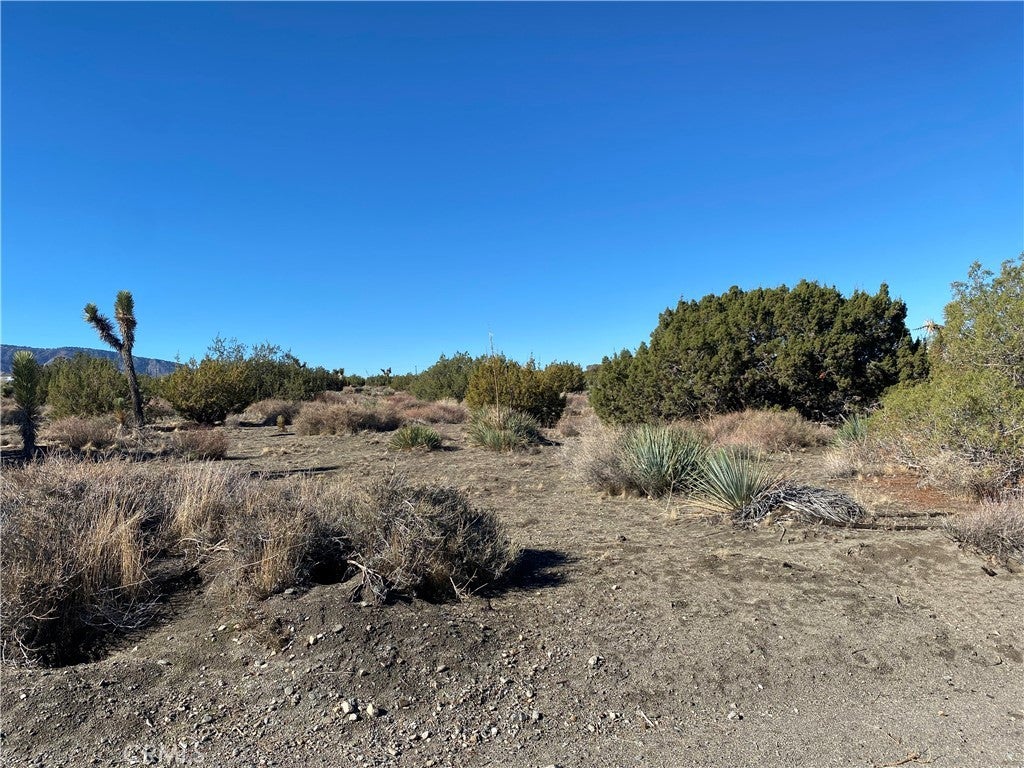 Photo of Listing #HD25265331