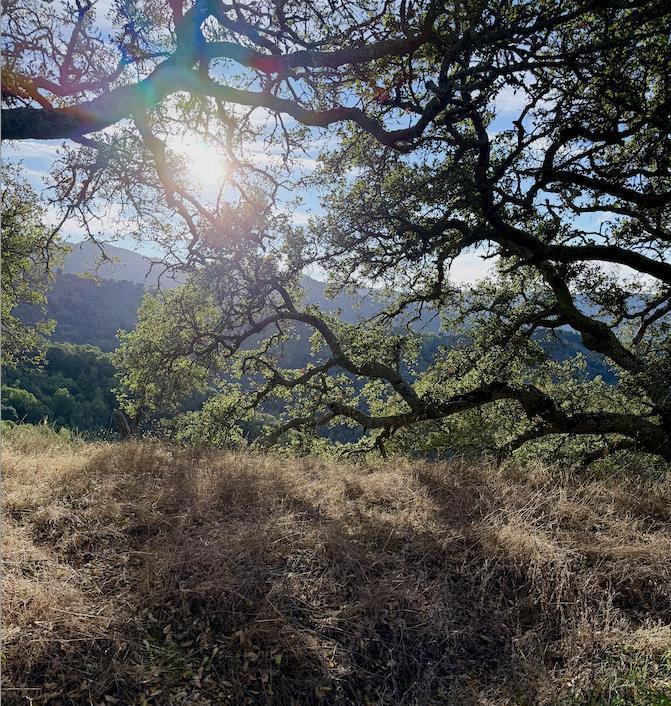 Photo of Listing #ML82028048