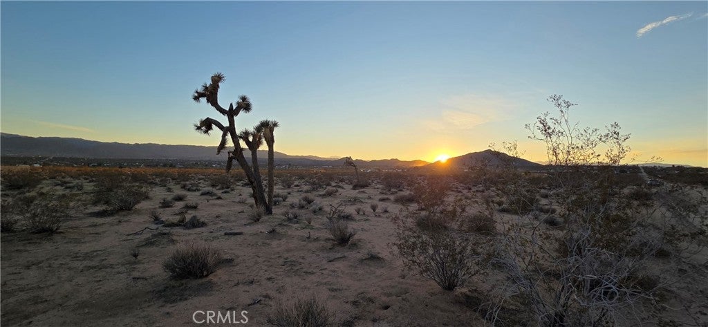 Photo of Listing #JT25267968