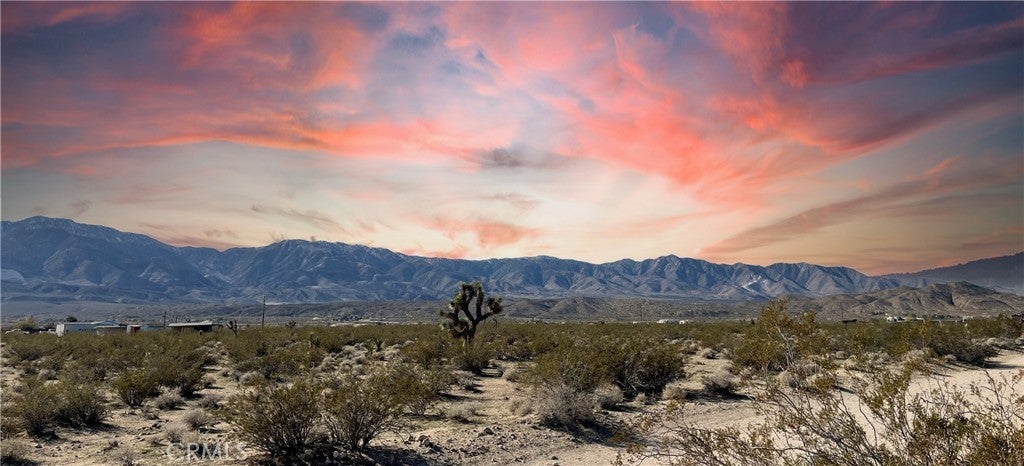 Photo of Listing #HD25267619