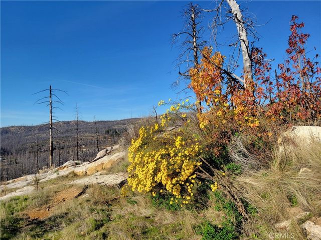 161 Shadow Creek Road, Berry Creek