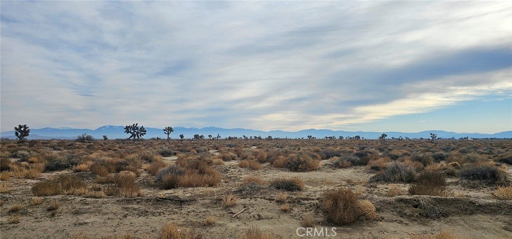 Photo of Listing #SR25268646