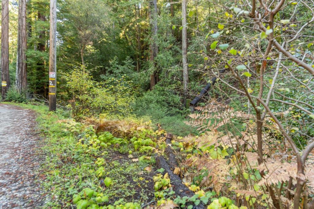 Photo of Listing #ML82028715