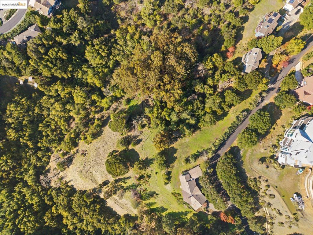 Photo of Listing #41118718