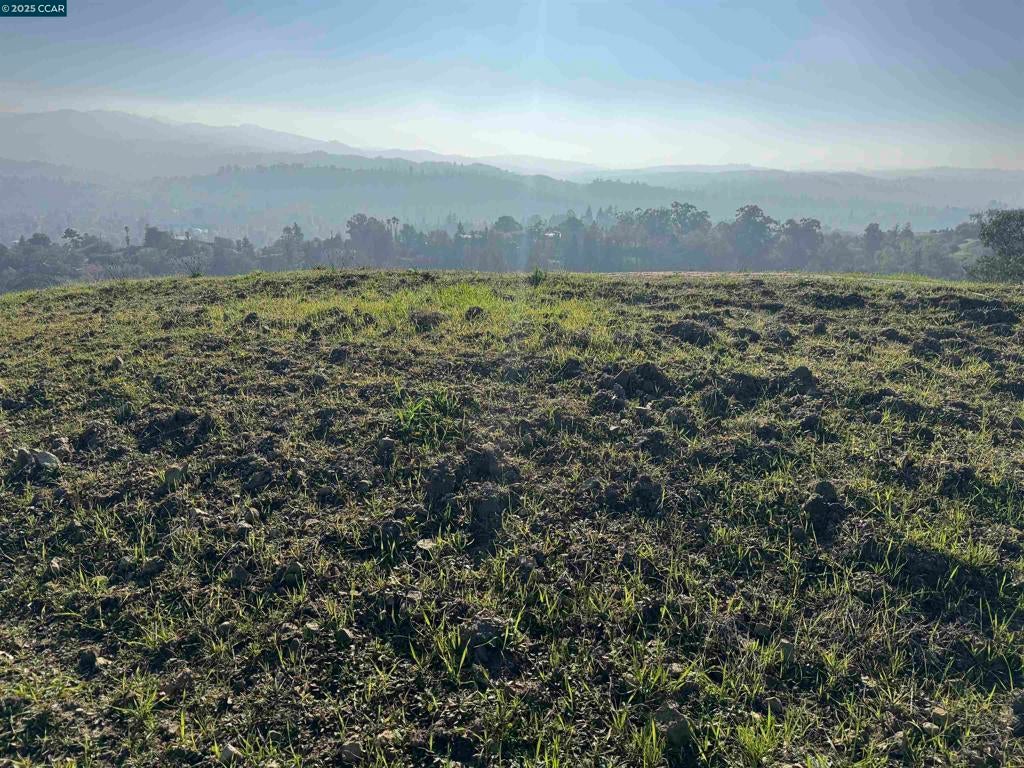 Photo of Listing #41118740