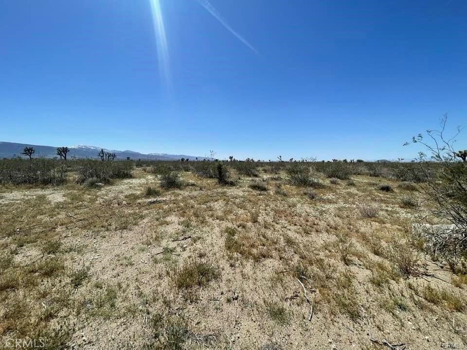 Photo of Listing #HD25271707