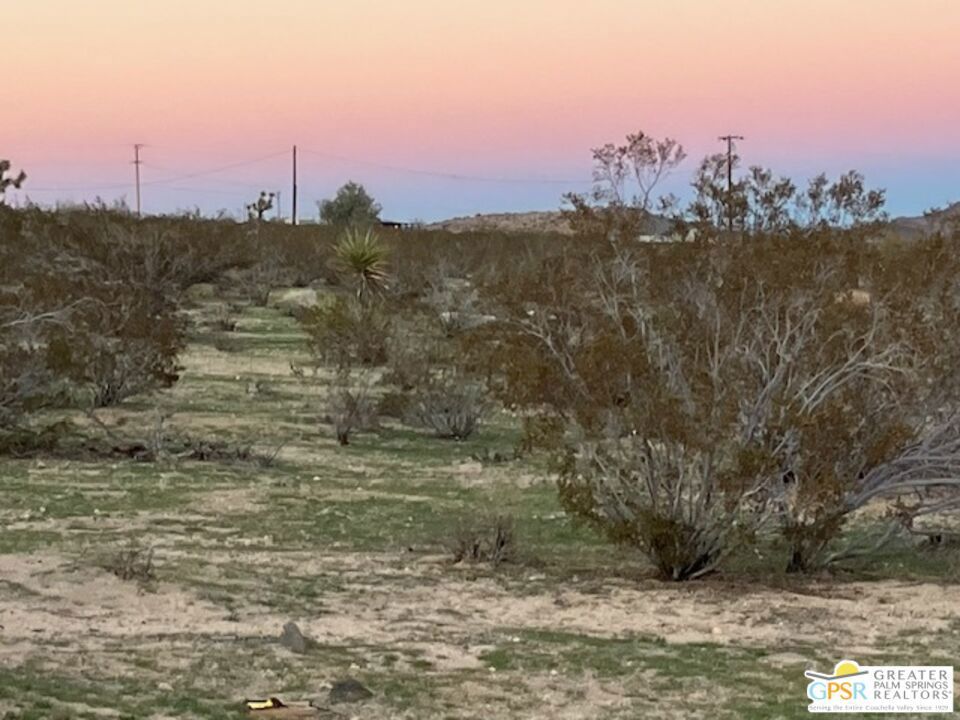 Photo of Listing #25626861PS