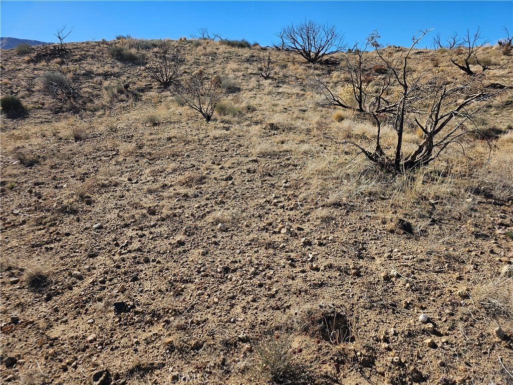 Photo of Listing #SR25265914