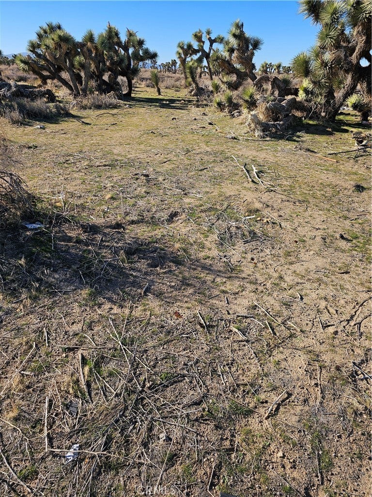 Photo of Listing #SR25266653