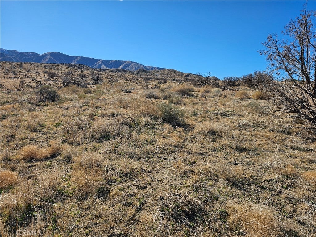 Photo of Listing #SR25266658