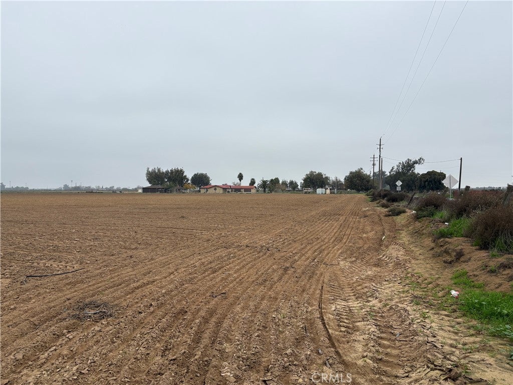 Photo of Listing #MC25273729