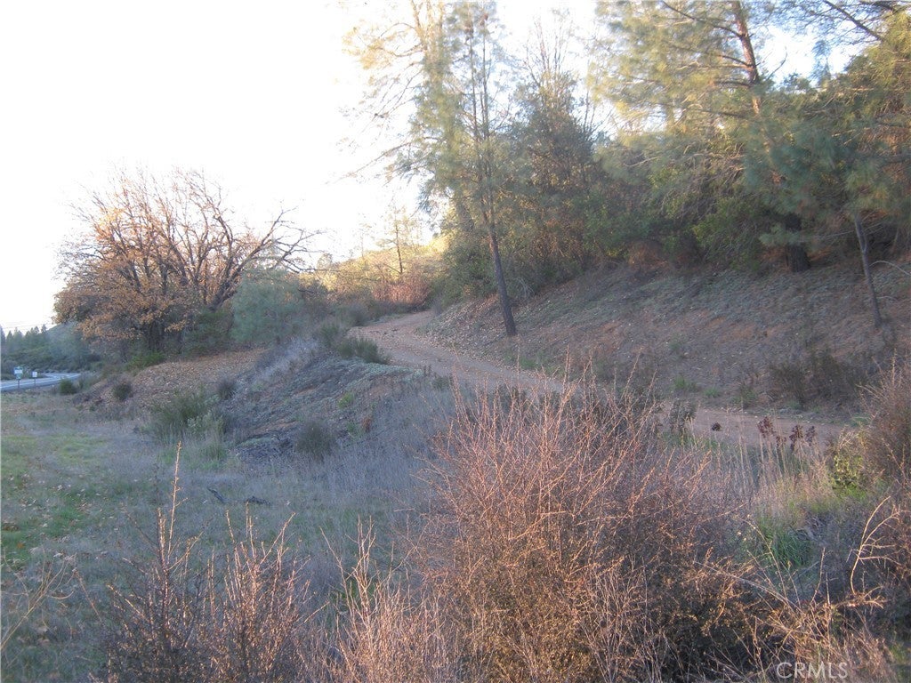 Photo of Listing #LC25273622