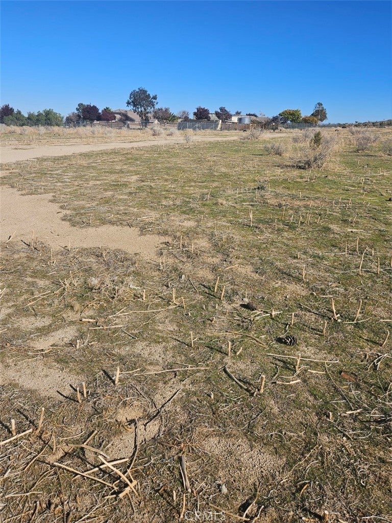 Photo of Listing #SR25275218