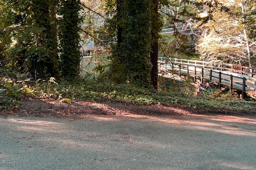 Photo of Listing #ML82029398