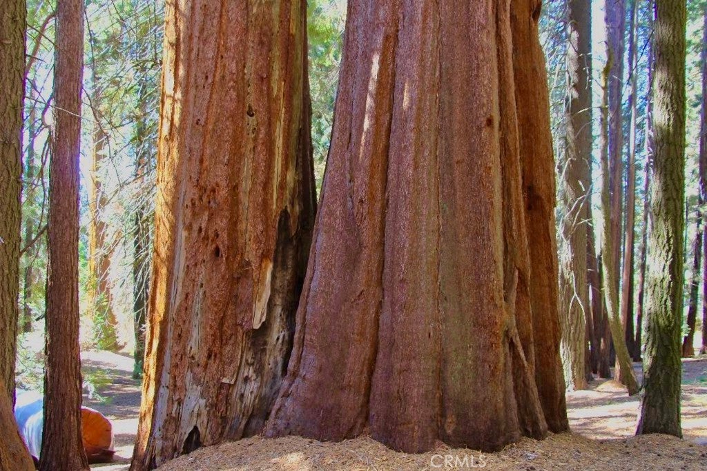 Photo of Listing #OC25275569